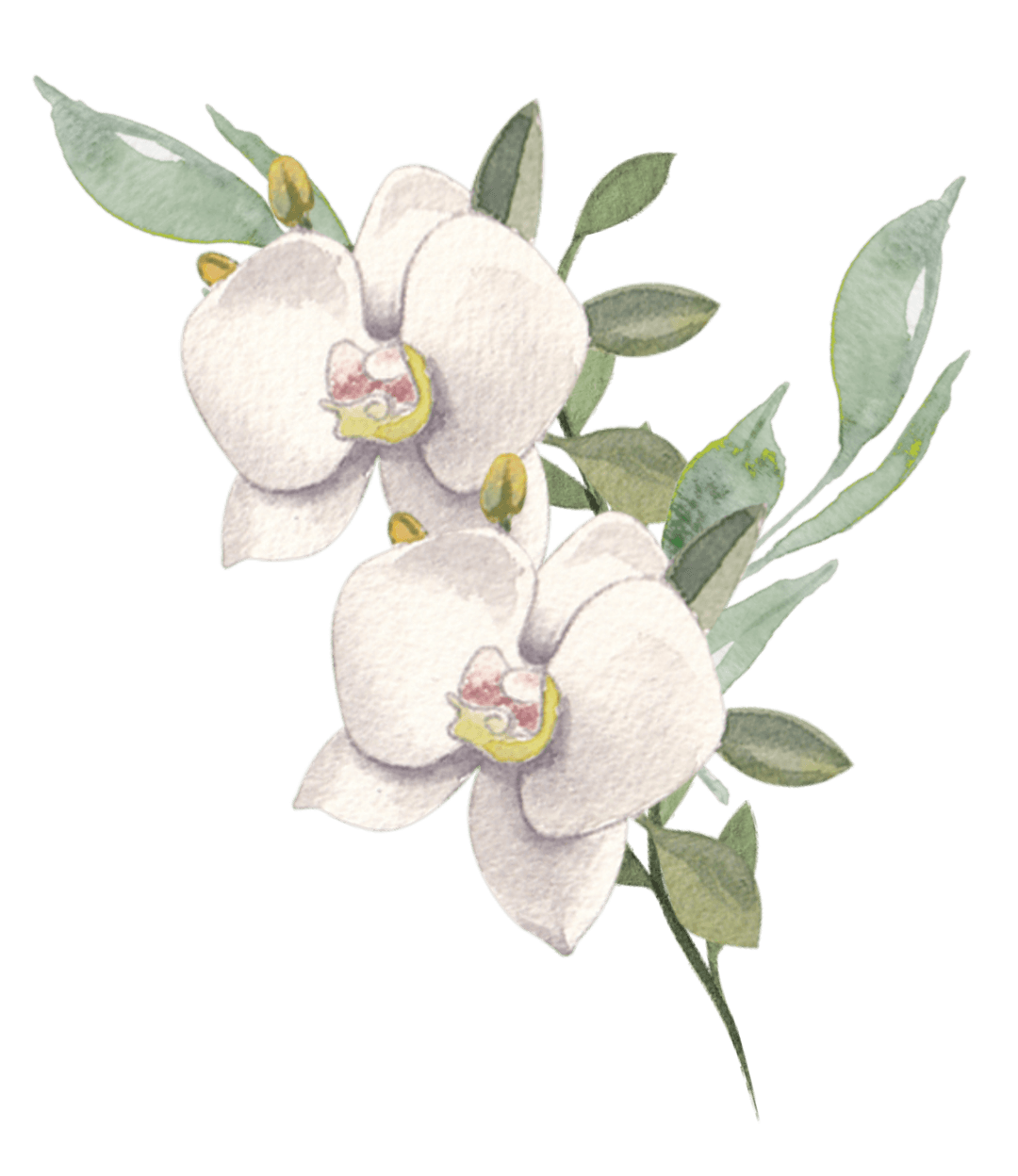 Flor decorativa