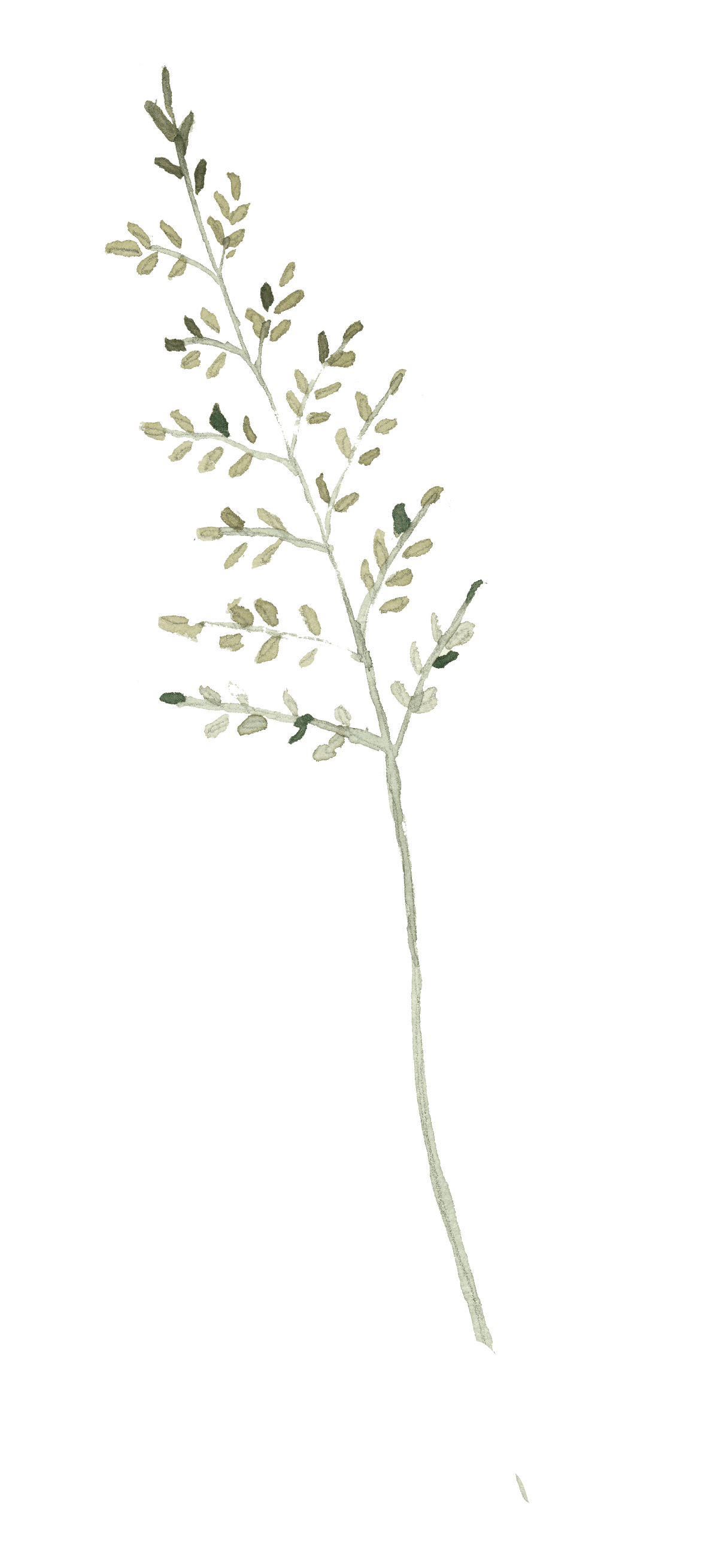 Flor decorativa